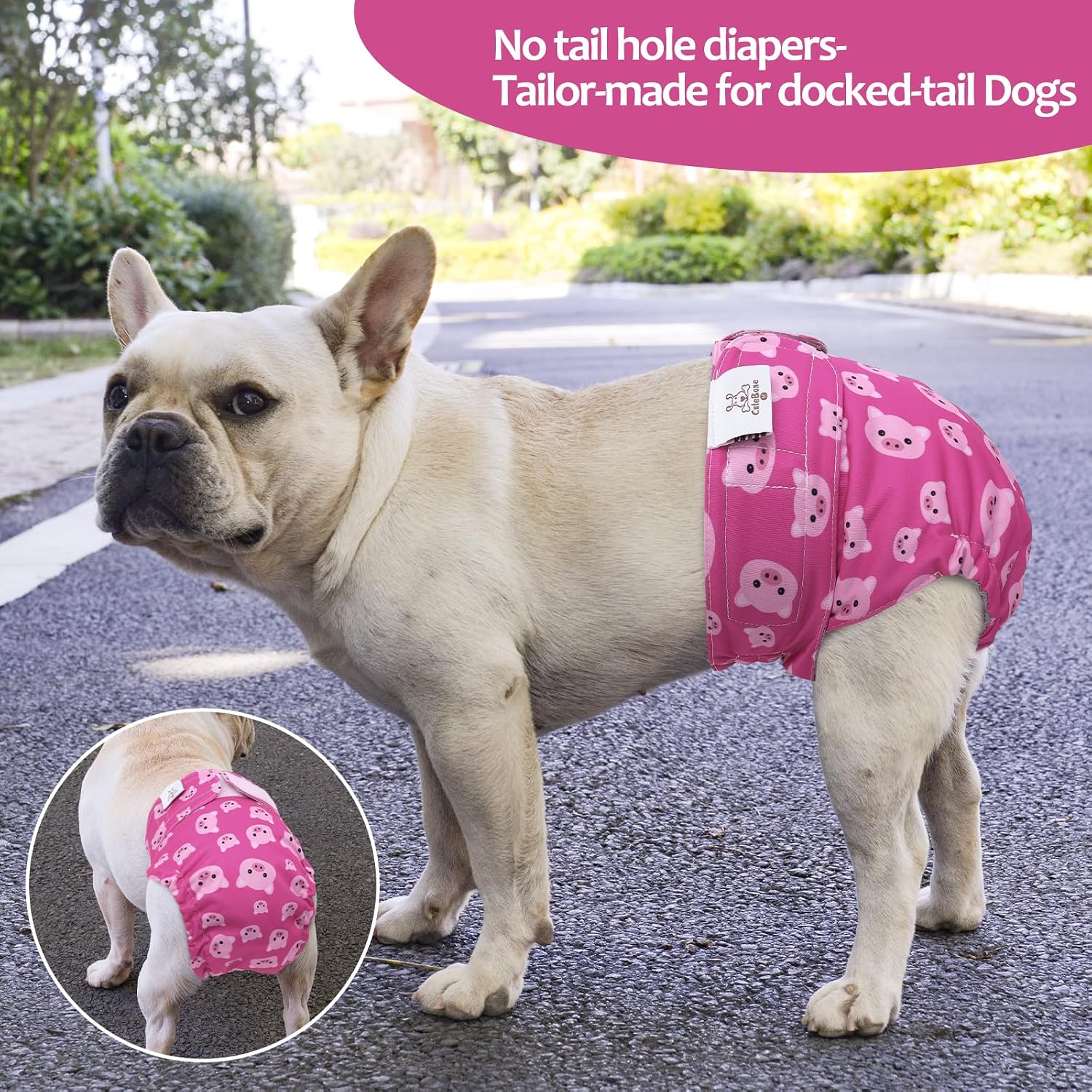 Close up look of the adjustable leg elastics and hook and loop fasteners on CuteBone dog diapers.