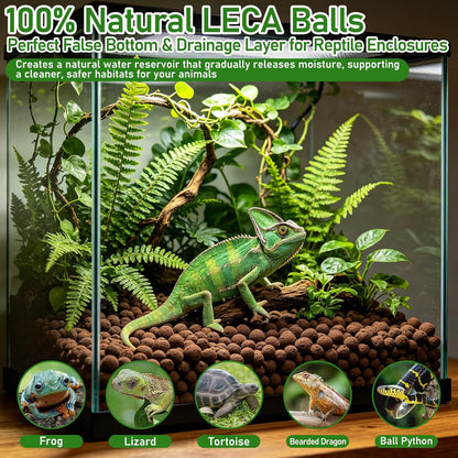 Authentic USA imported Riare expanded clay substrate used for live plant root support and propagation in a humid bio enclosure.