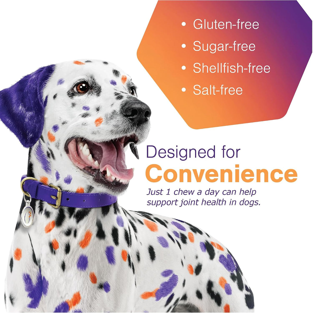 Movoflex hip and joint support chews medium dogs bottle