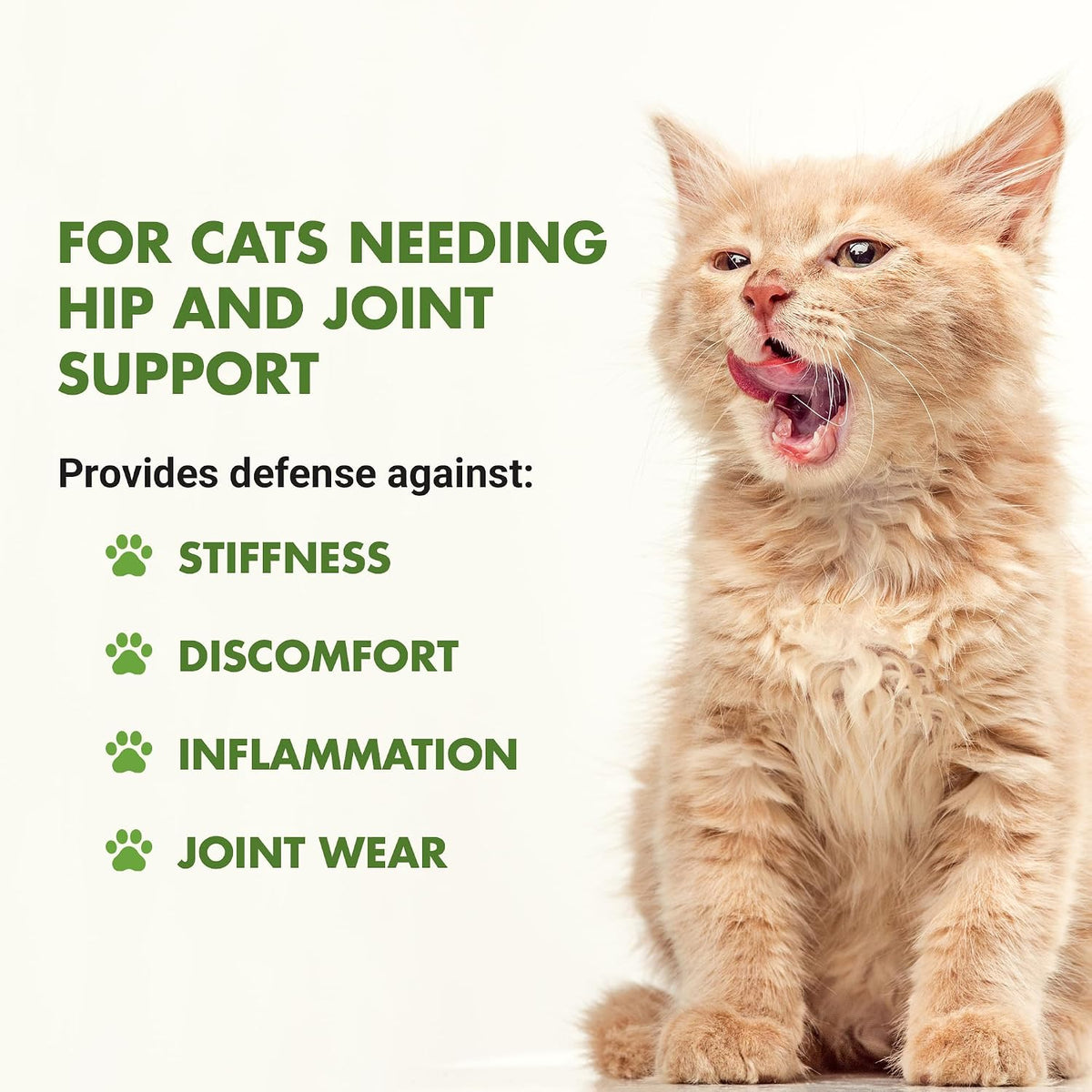 Liquid-Vet Feline Hip And Joint supplement bottle label details and ingredient highlights