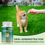 Pet digestive care supplement tablets for kittens and adult cats