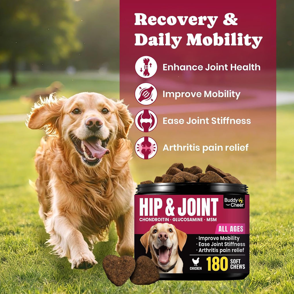 BuddyCheer dog joint supplement chews with chicken flavor ingredient callouts