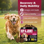 BuddyCheer dog joint supplement chews with chicken flavor ingredient callouts