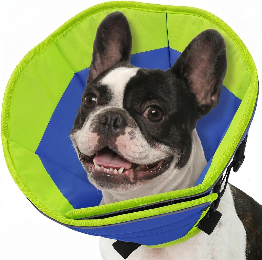 Sunfura comfortable recovery cone for pets indoor use