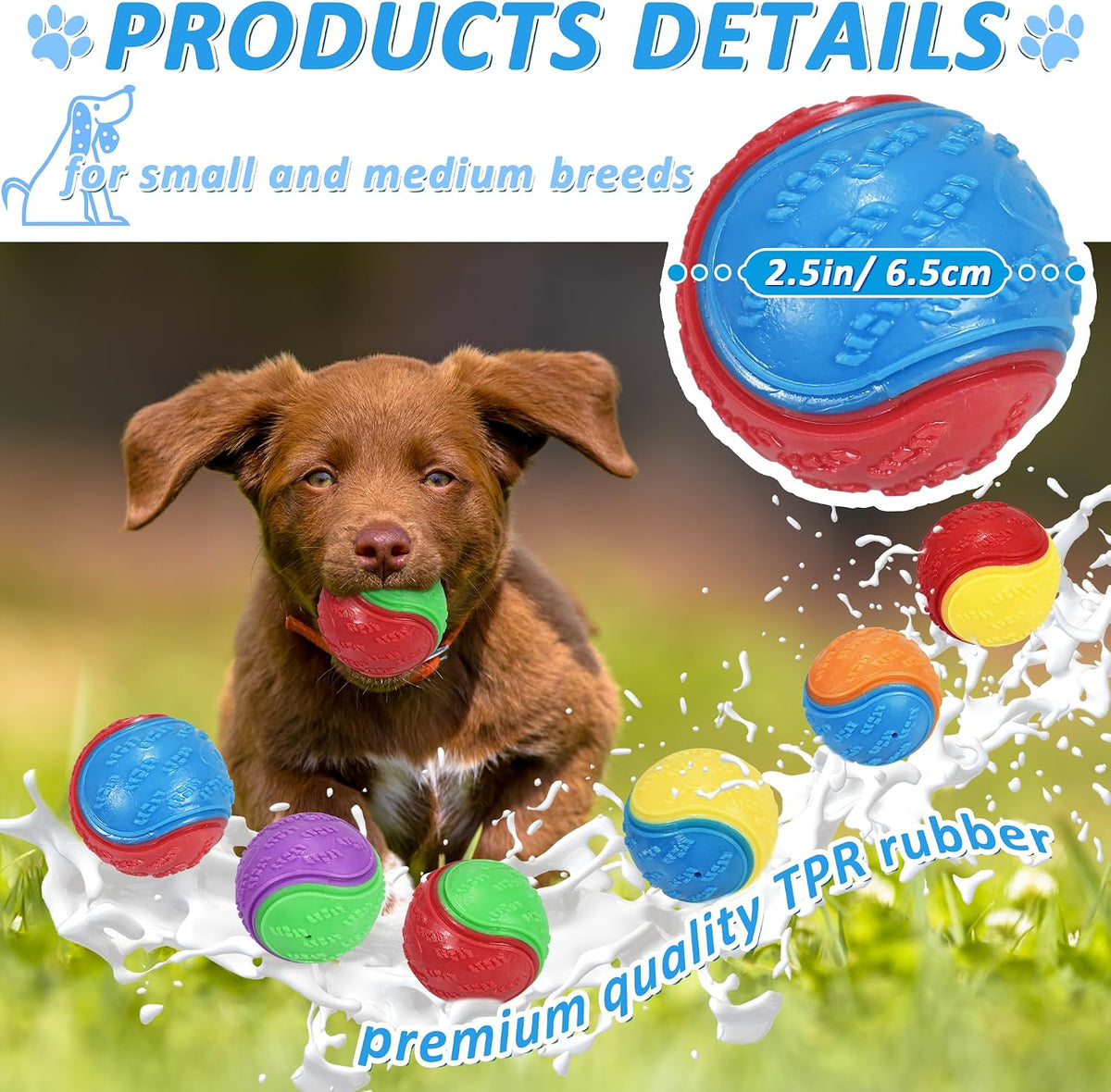 Dog playing with high bounce squeaky rubber ball
