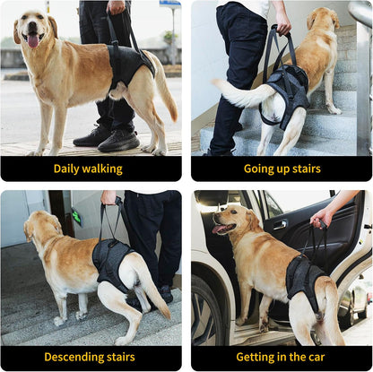 Adjustable features of Heywean dog sling for custom fit