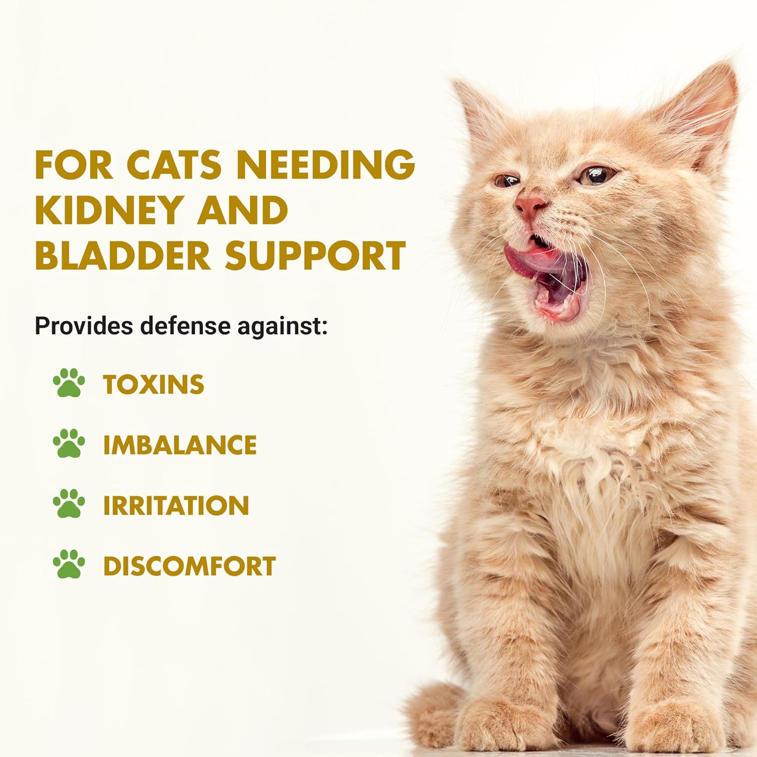 Liquid-Vet cat urinary tract health supplement seafood flavor product packaging