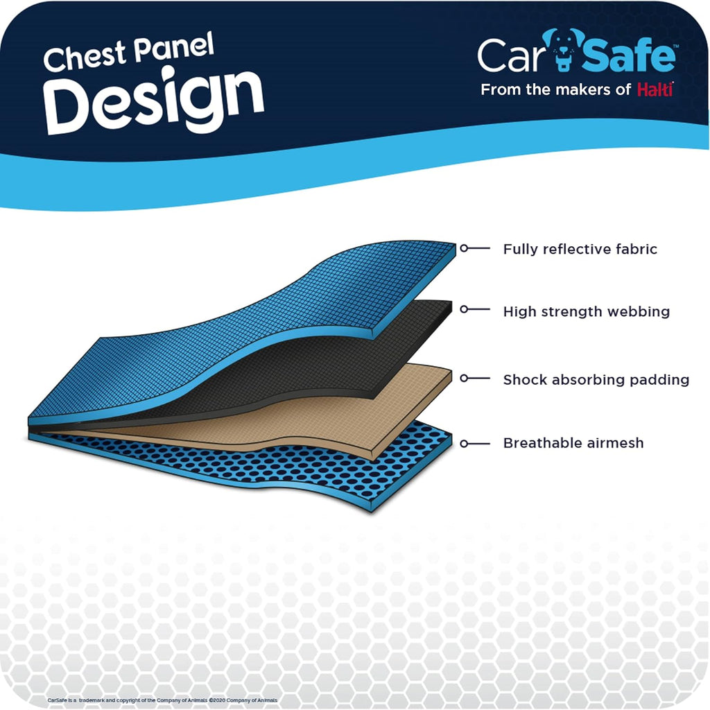 CarSafe harness connected to car seat belt system