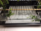 Close up of moisture resistant poly coating on BirdCageLiners paper sheet