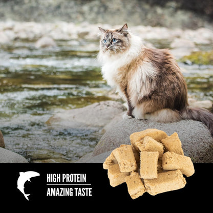 Close up of freeze dried wild caught fish cat treats from Orijen for all life stages.