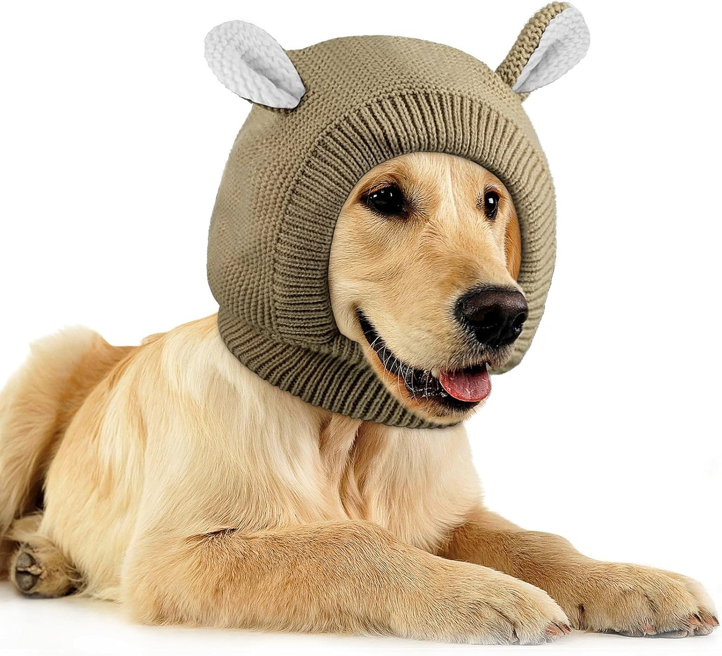 Frienda pet headgear for medium dogs close up