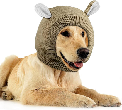 Frienda pet headgear for medium dogs close up