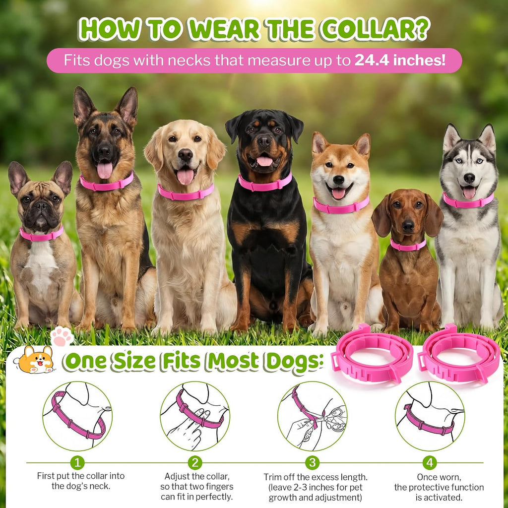 Flea and tick collar size adjustment demonstration