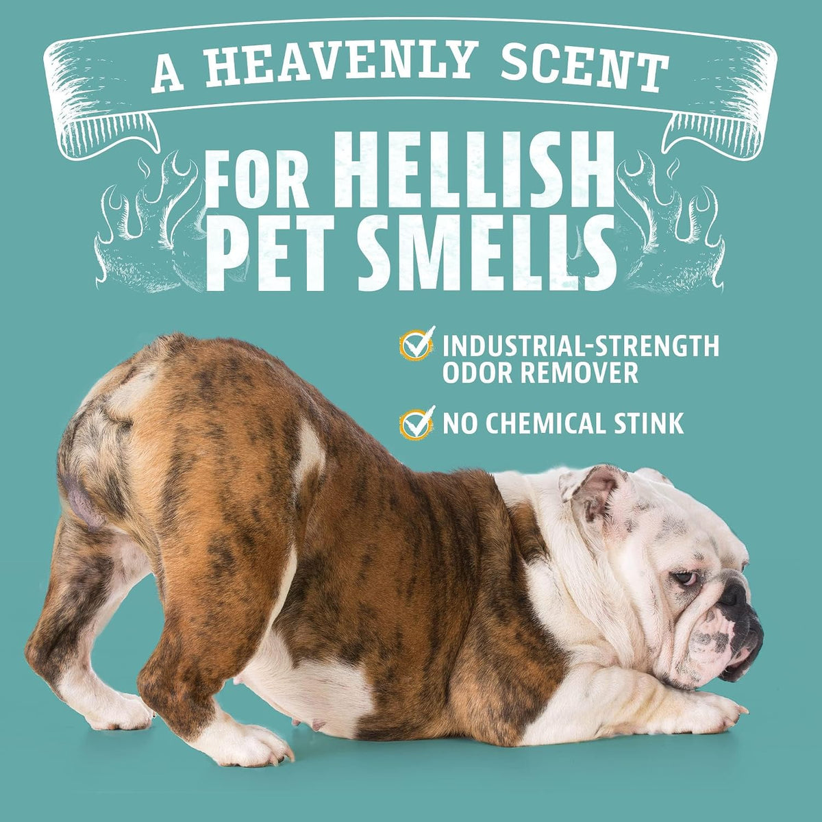 Authentic USA imported pet care kit for eliminating tough dog and cat smells in Indian households.