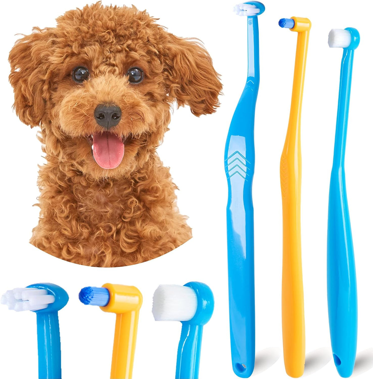 MoonyMars small dog and cat toothbrush kit front view
