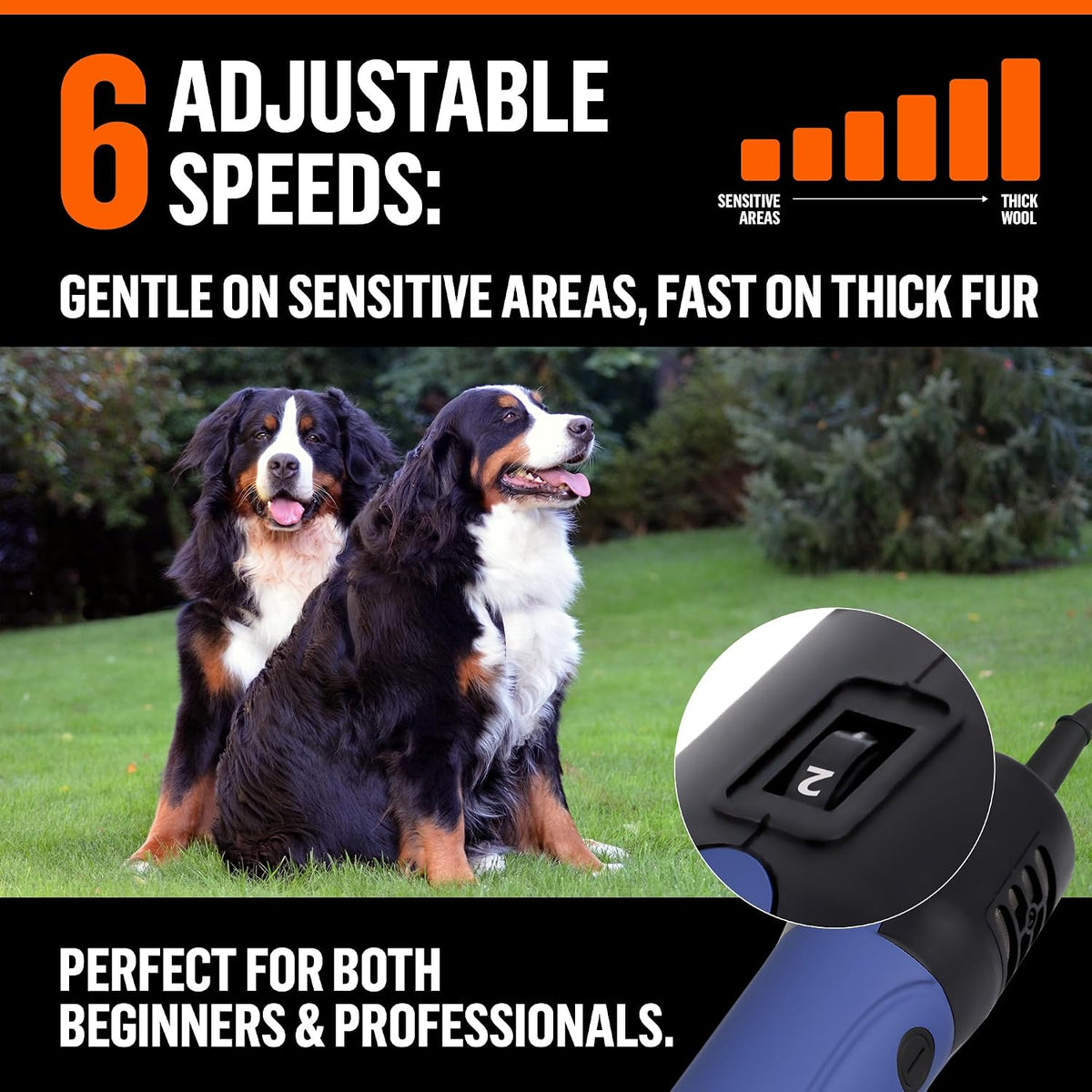 Alloy steel blade tension adjustment close up on professional pet trimmer