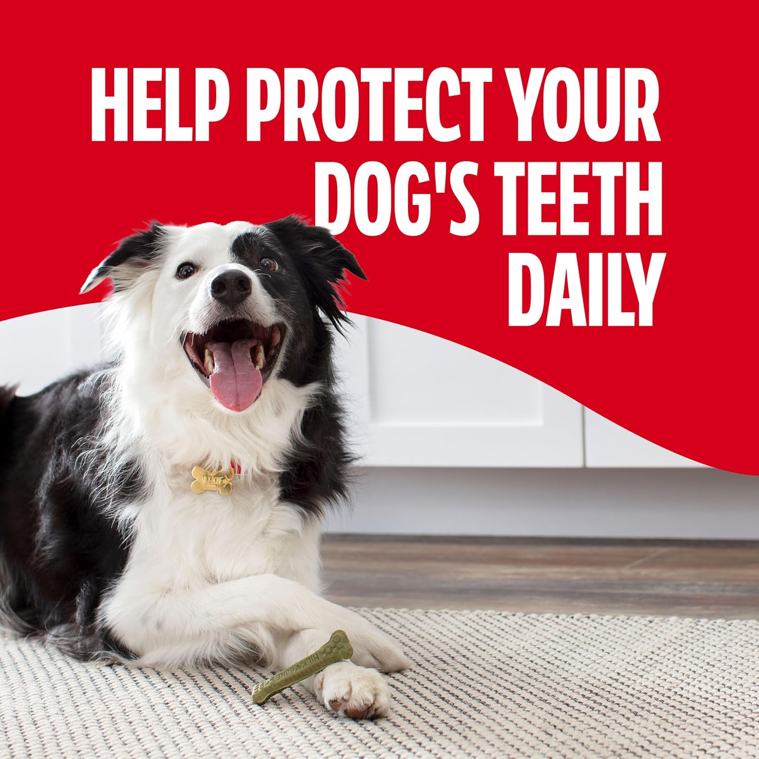 Authentic Milk-Bone dog treats imported from USA for Indian pet owners