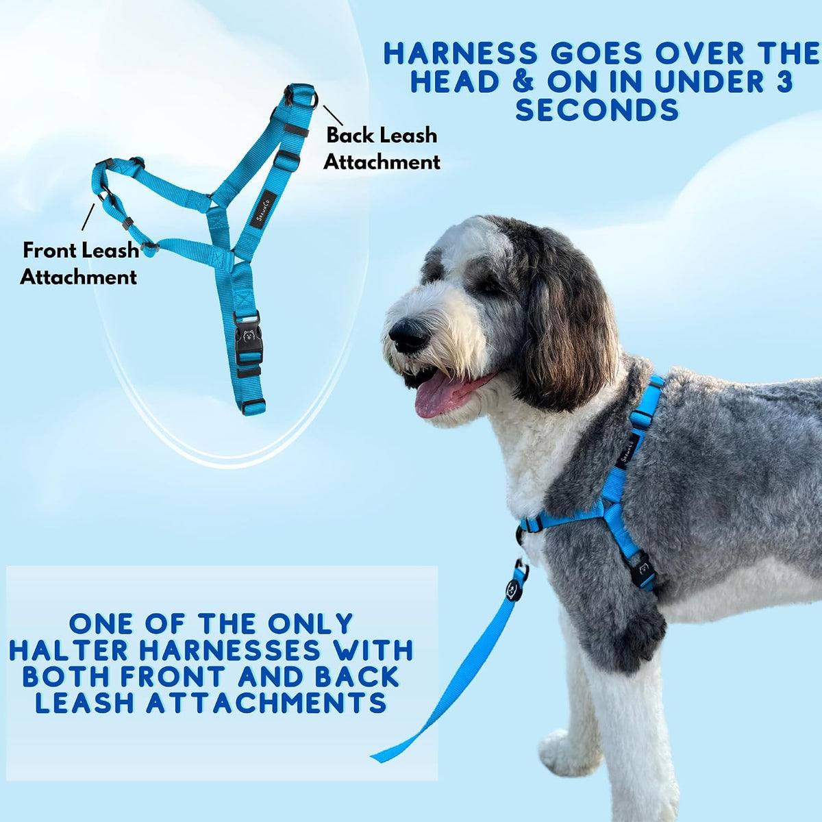 Oceanic Blue ShawnCo harness minimalist nylon texture detail
