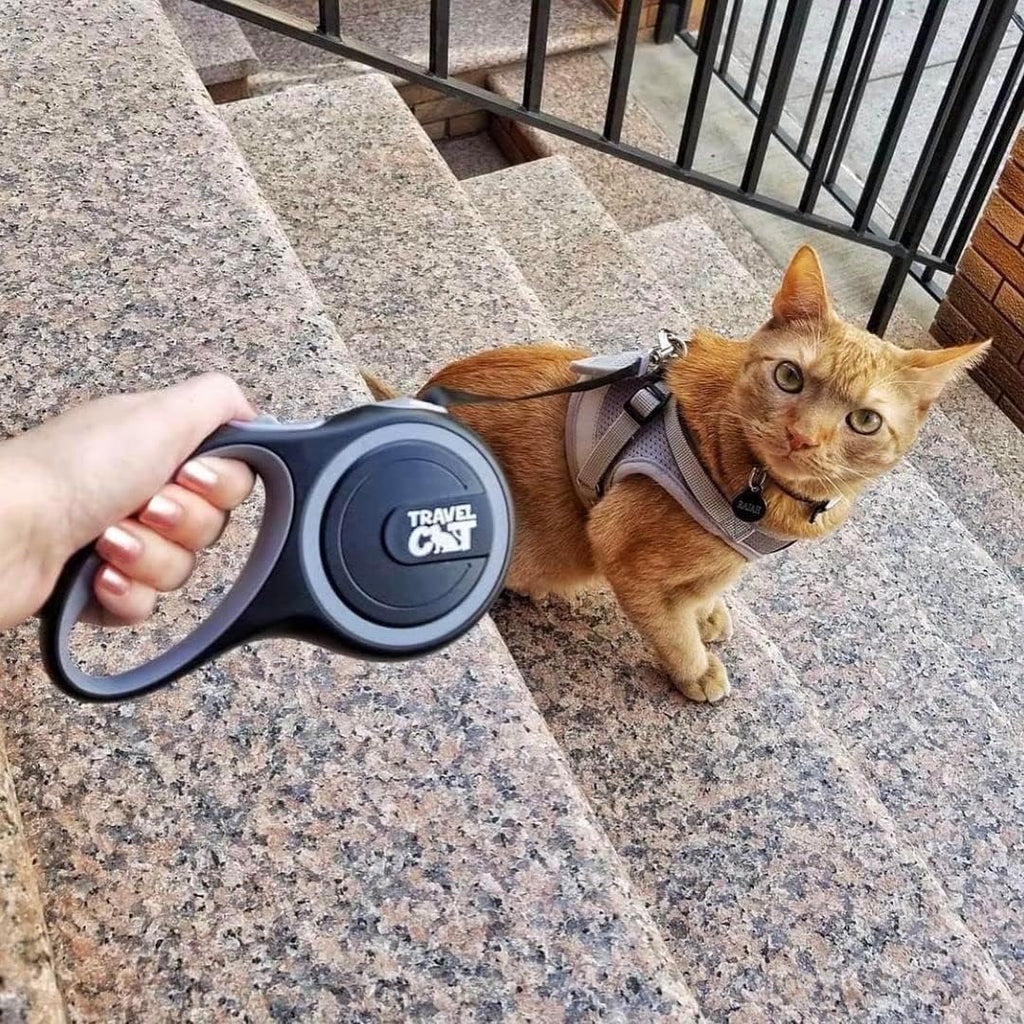 Travel Cat Captain retractable leash 10 foot black cord and casing close-up.