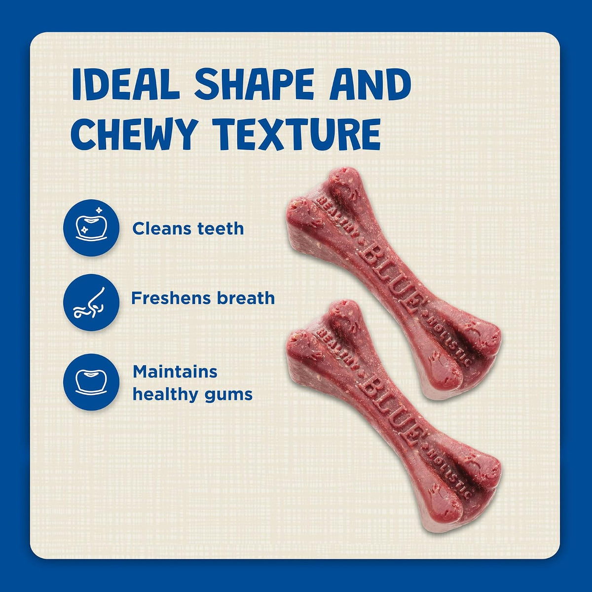 Detailed view of the chewy texture of the natural dental bone