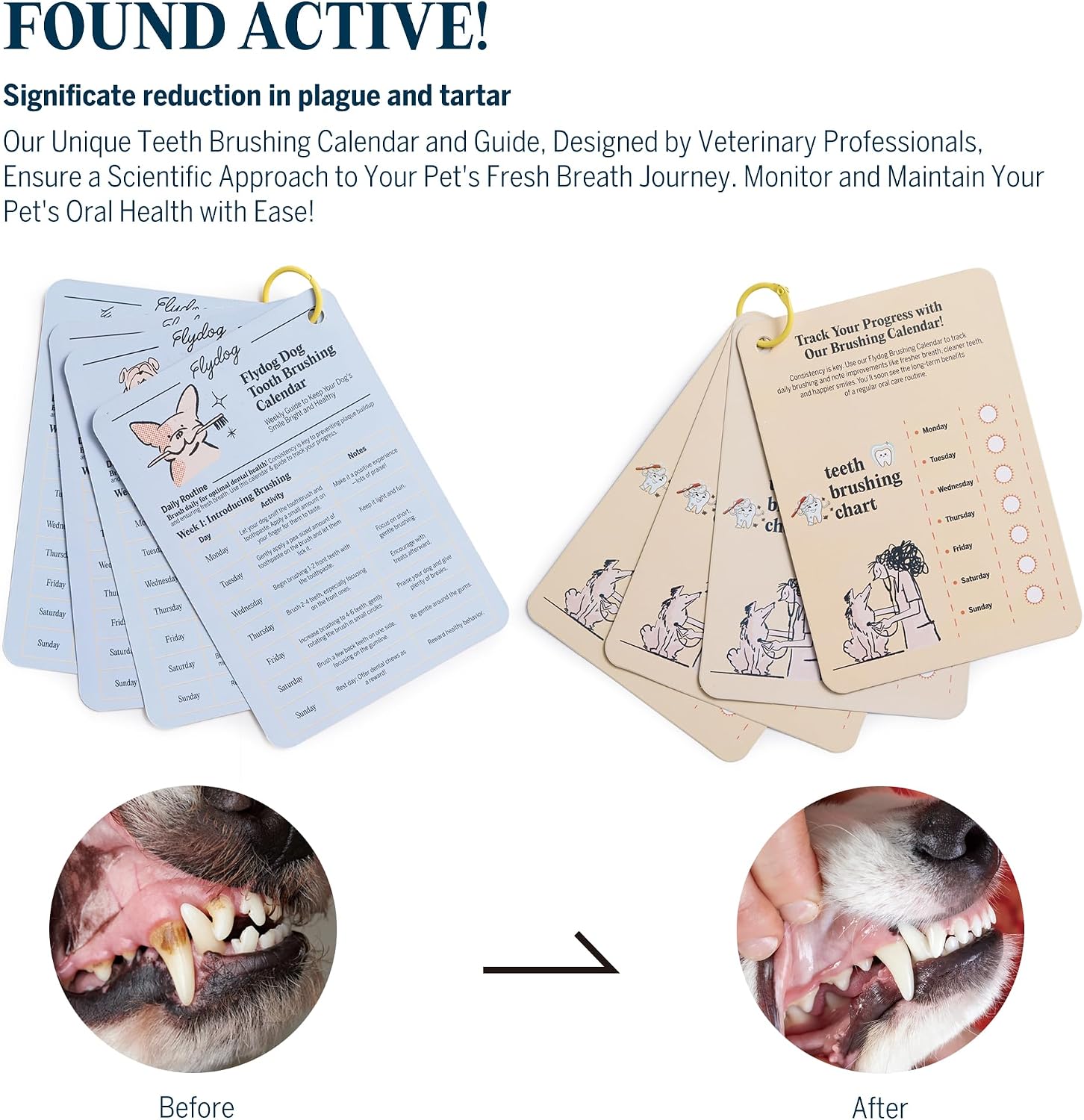 FlyDog dental hygiene progress calendar for tracking daily dog teeth brushing routines