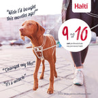 Halti no pull harness comfortable mesh chest panel