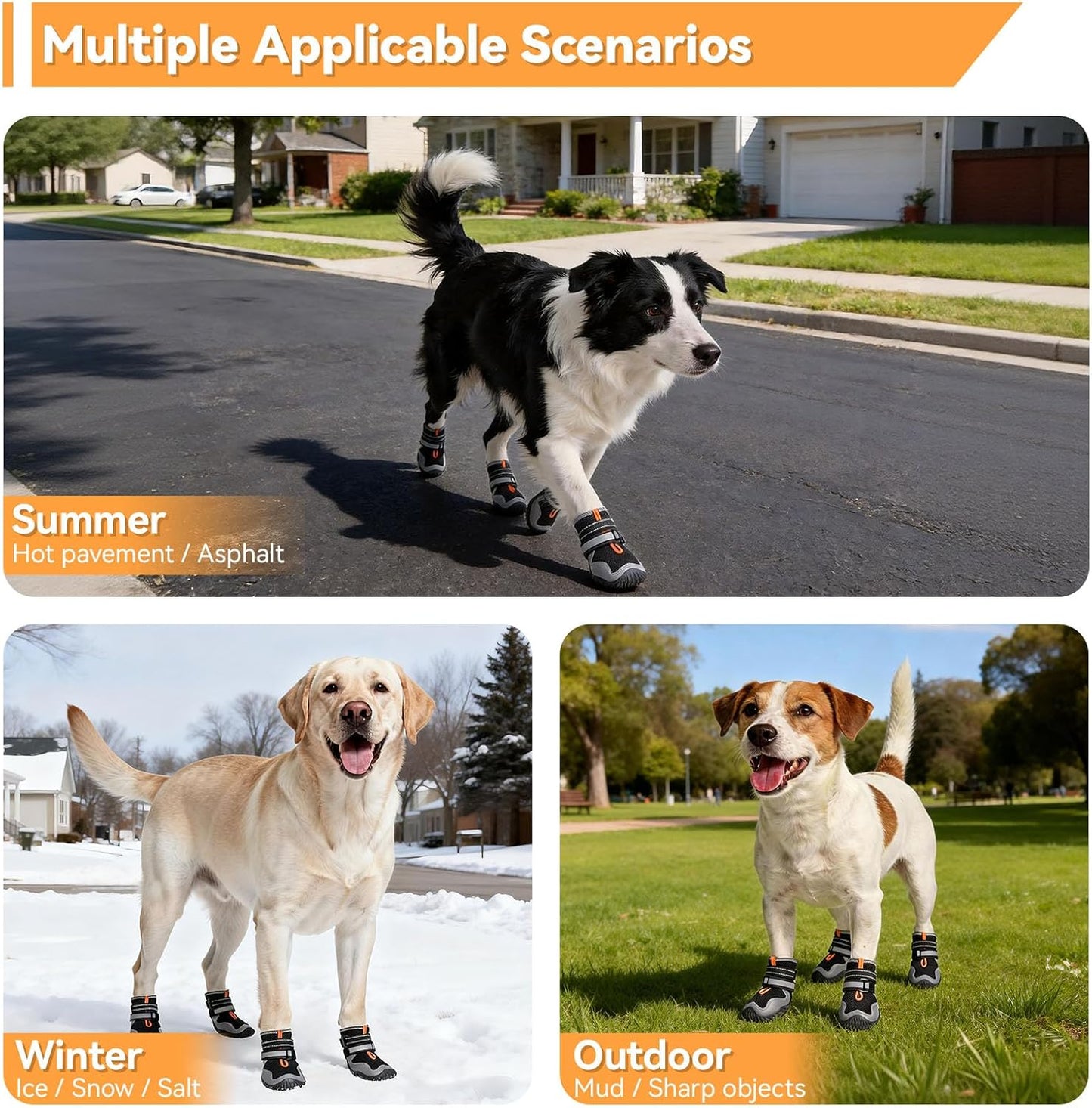 Small dog wearing Dimicoo comfortable mesh boots outdoors.