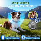Adjustable grey flea collar for small and large dogs