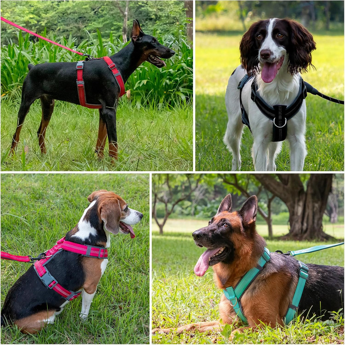Plutus Pet ergonomic Y shaped no choke pet harness top down perspective