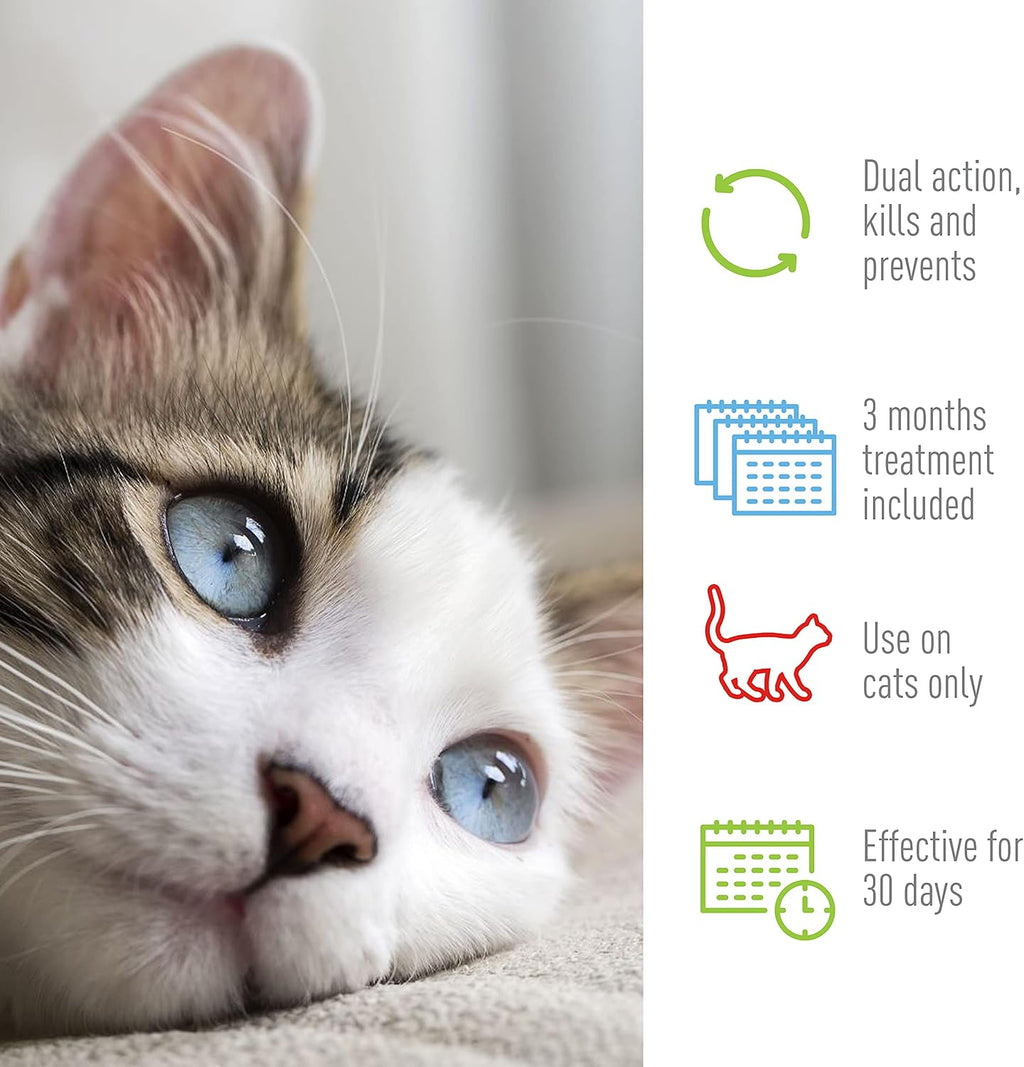 Adams Plus cat flea preventative solution active ingredients side panel