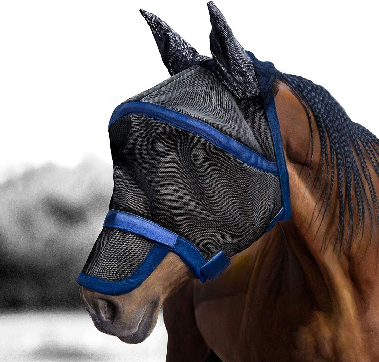 Detailed view of micro-weave ear material on fly mask