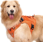 Authentic OneTigris premium dog harness imported for Indian pet owners