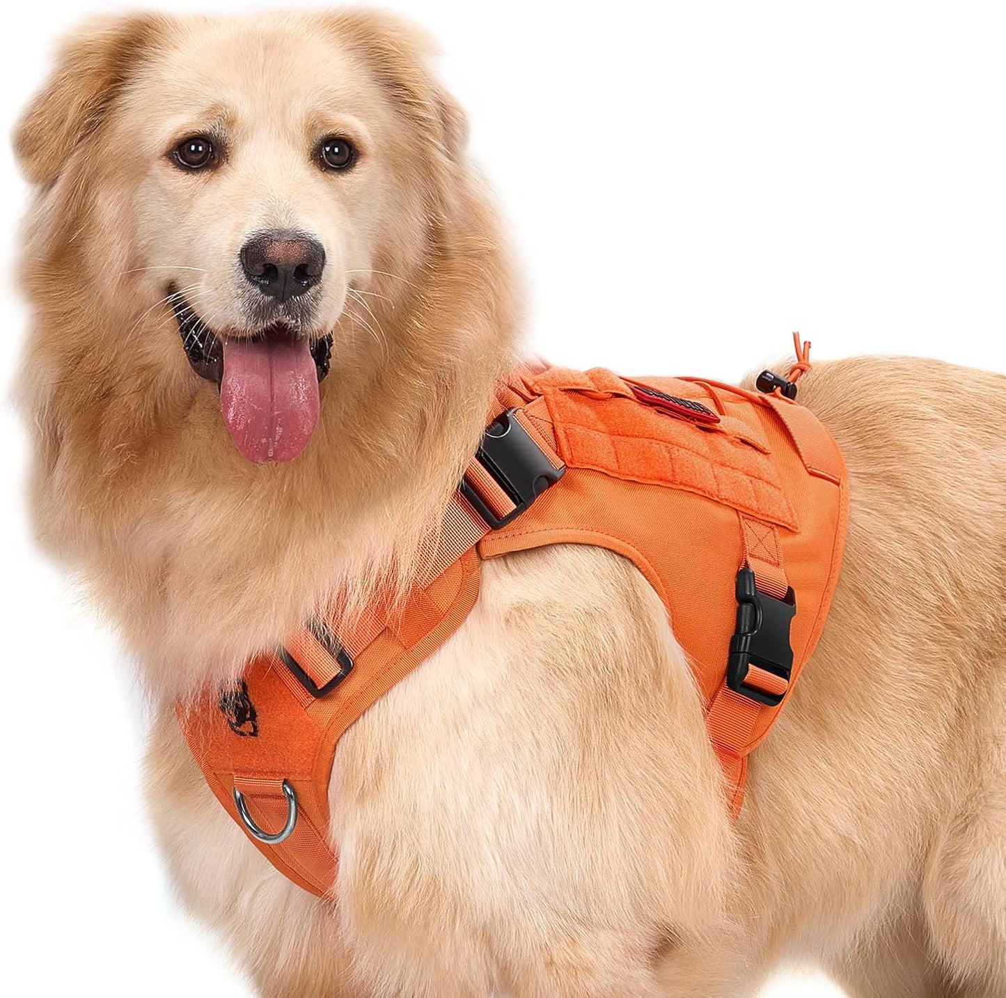 Authentic OneTigris premium dog harness imported for Indian pet owners