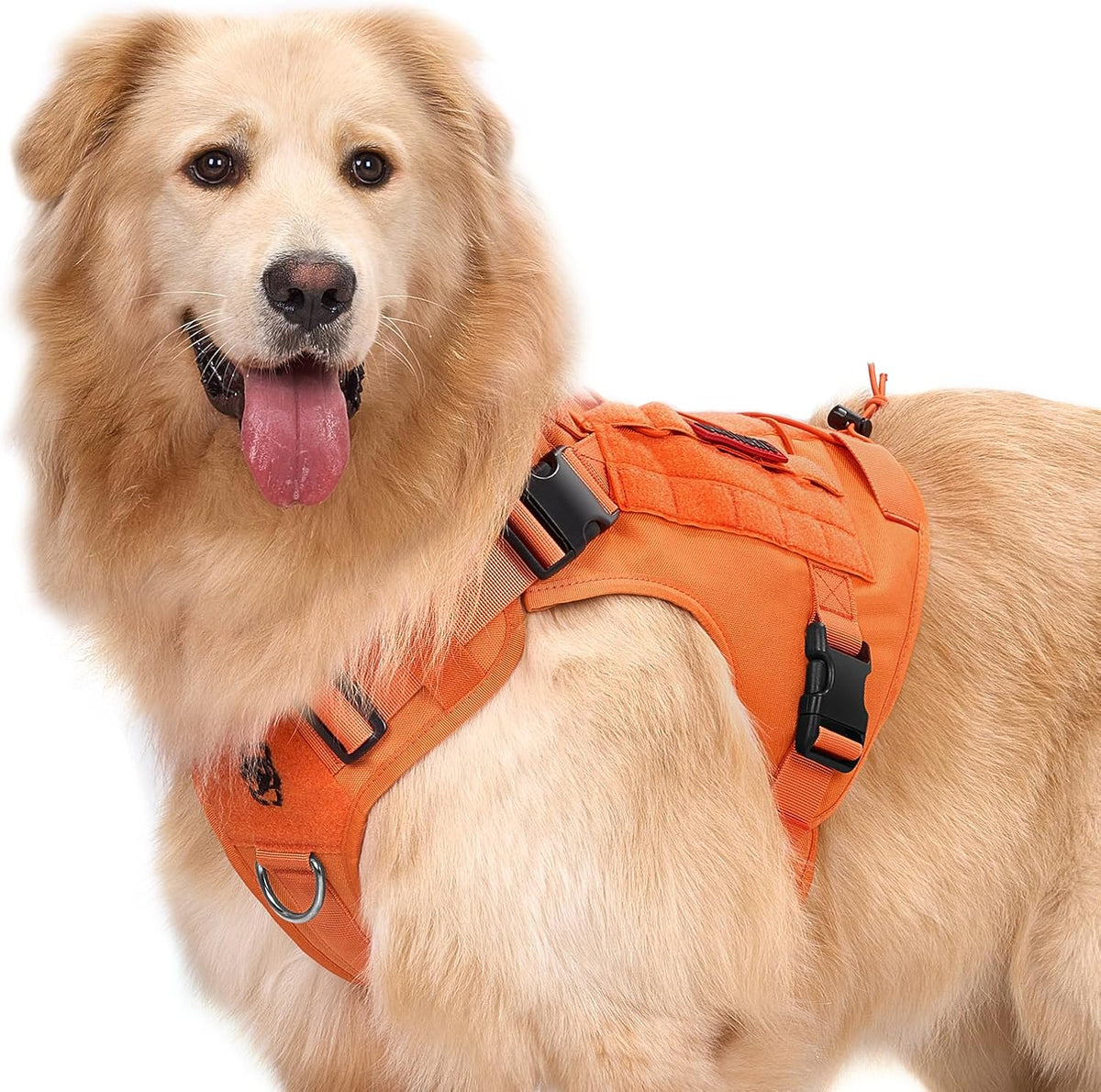 Authentic OneTigris premium dog harness imported for Indian pet owners