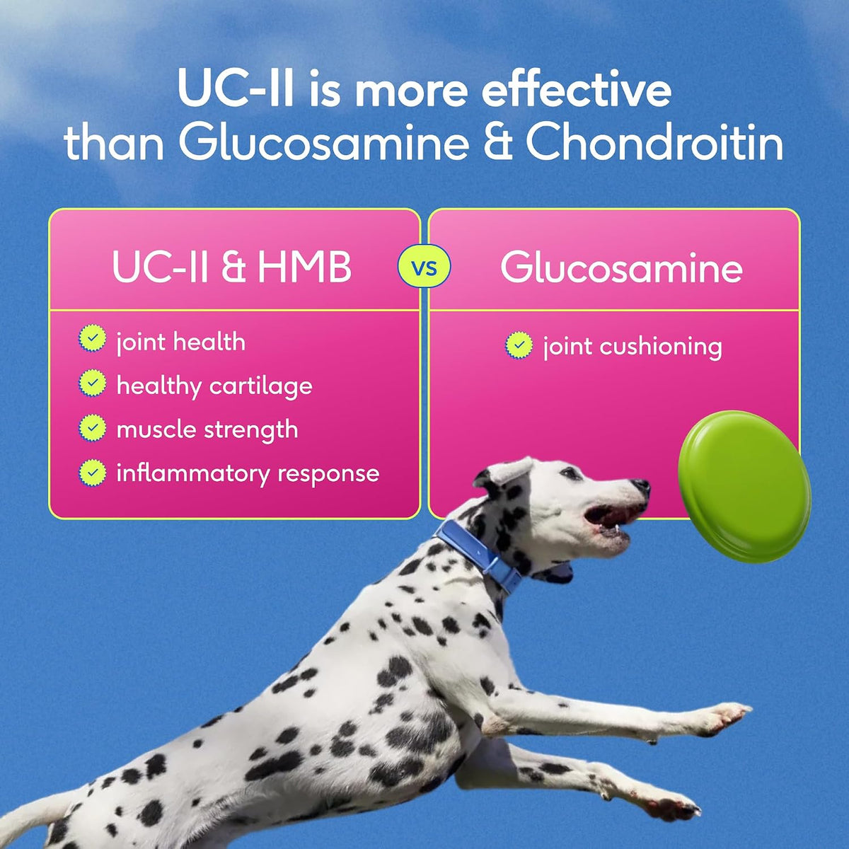 Native Pet Advanced Care dog mobility supplement product branding