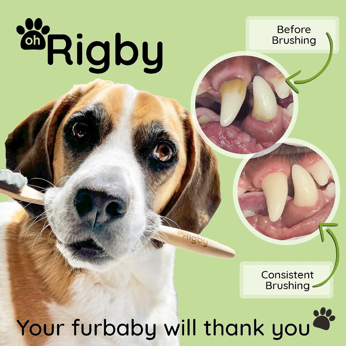 Oh Rigby sustainable bamboo dog toothbrush in packaging