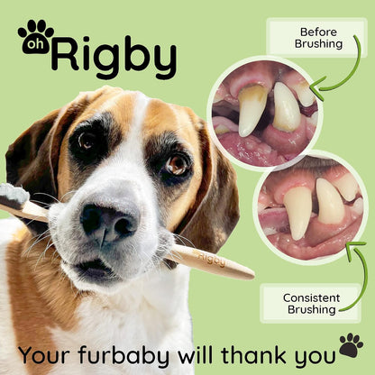 Oh Rigby sustainable bamboo dog toothbrush in packaging