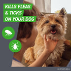Frontline Plus 3 doses pack for small dogs 5 to 22 pounds back panel details