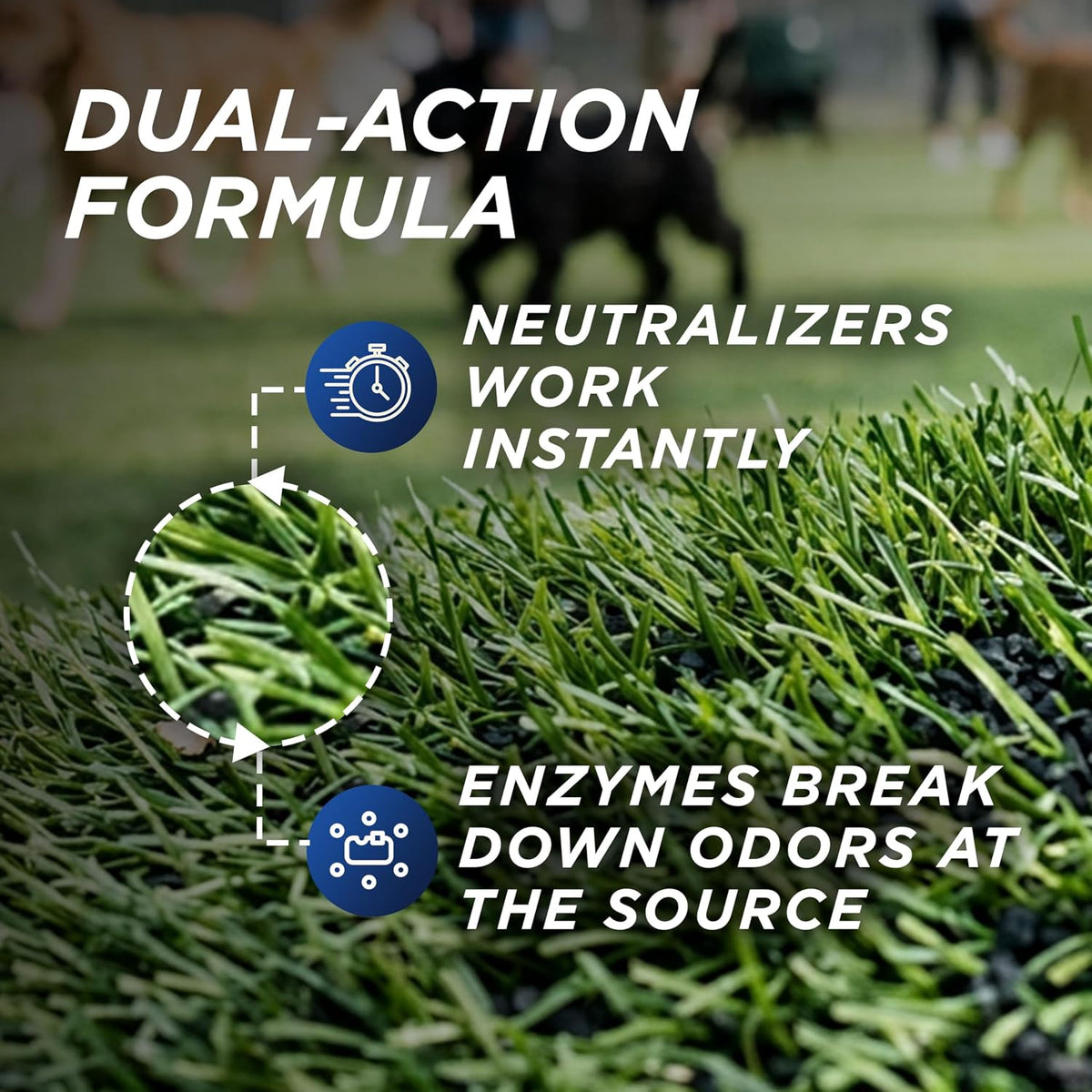 Pet safe enzyme cleaner for grass concrete and kennels