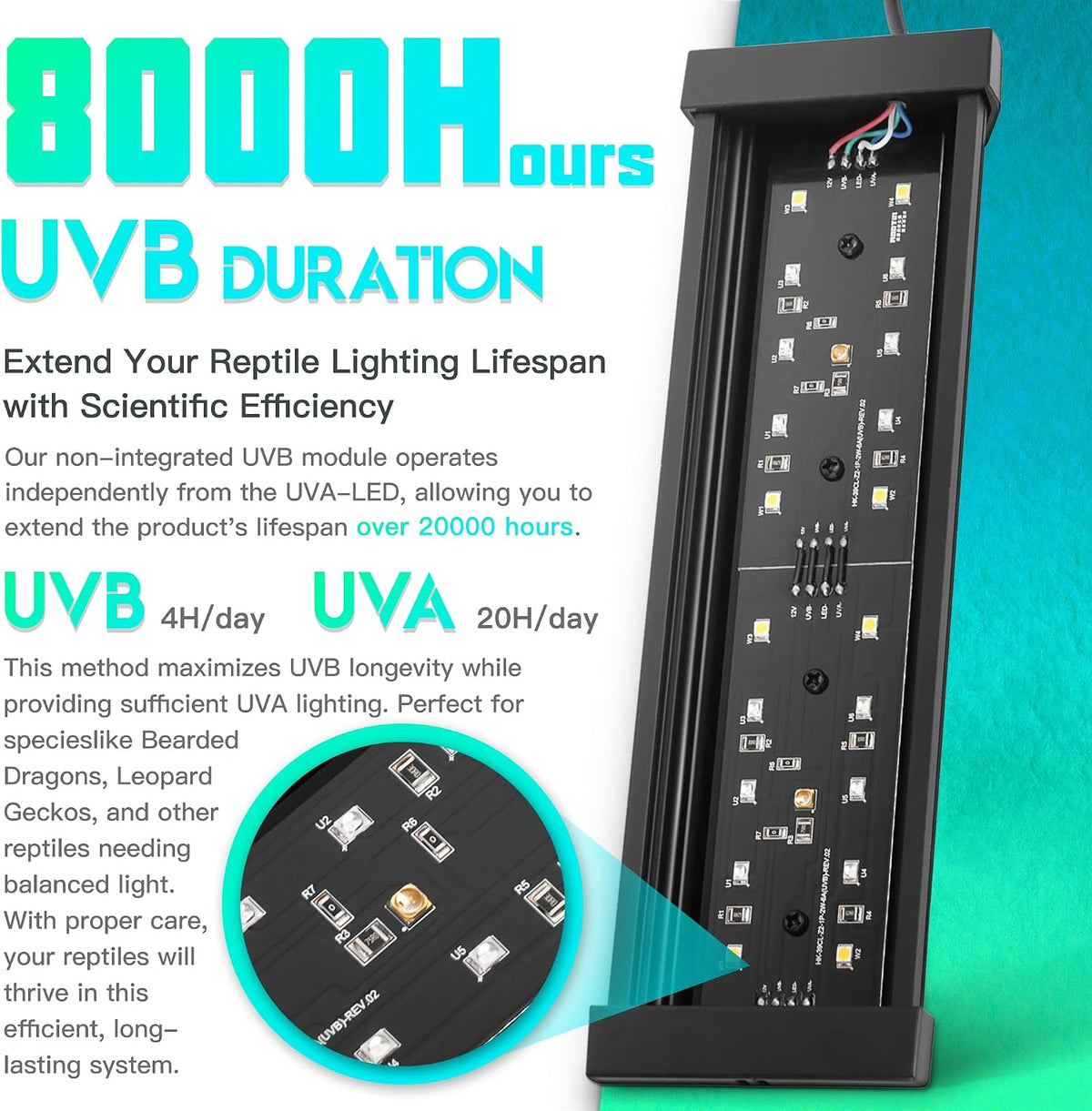 Eckpo terrarium UVB lamp angled view showing mounting structure