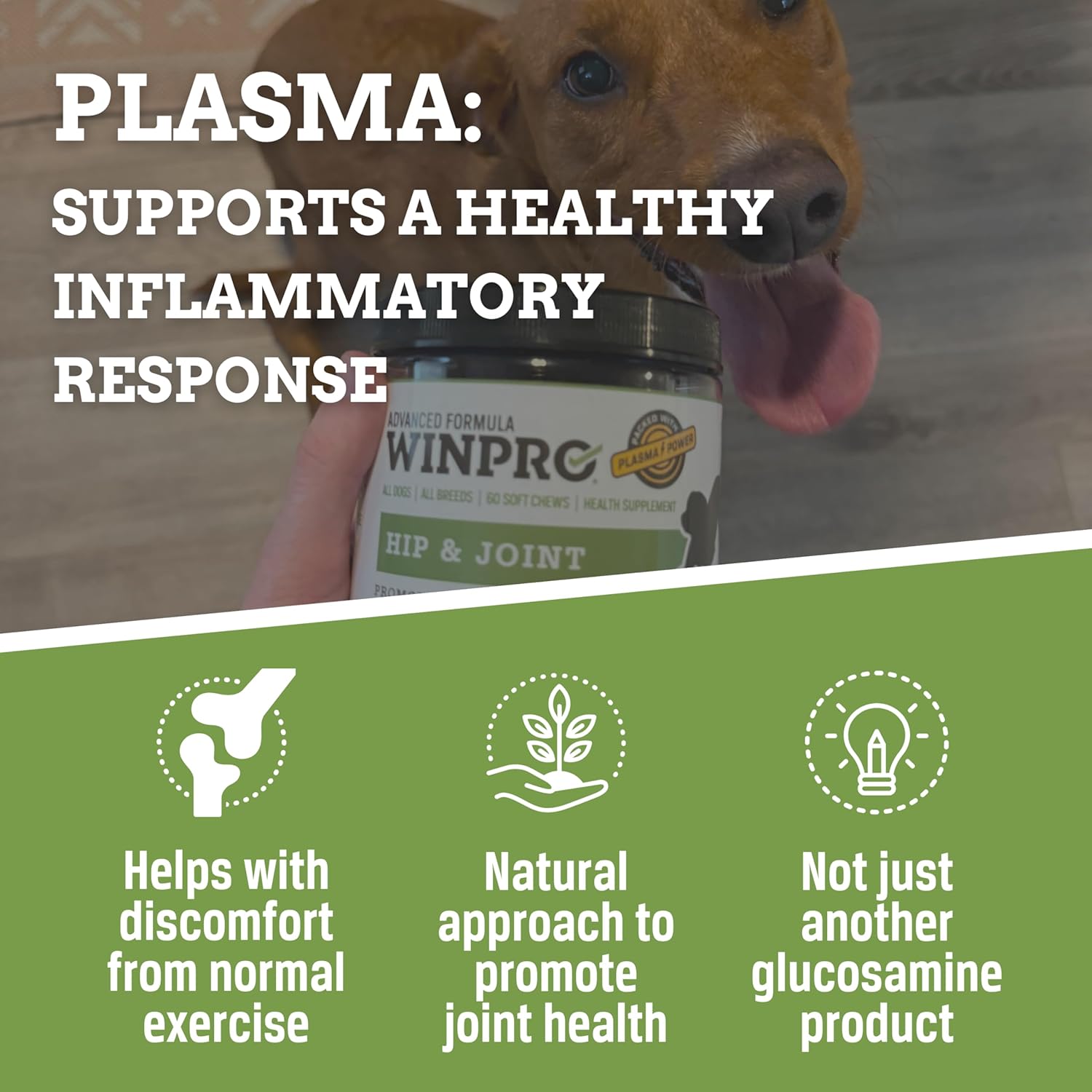 WINPRO pet mobility supplement packaging for active and senior dogs