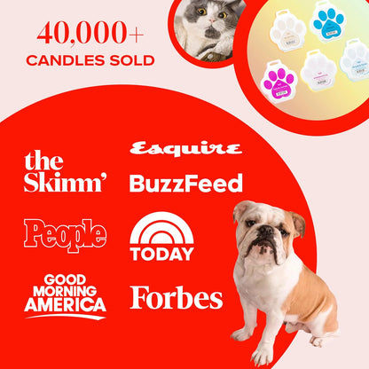 Close up of Companion Candles Anywhere With You scent profile