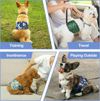 Grecle washable male dog diapers demonstrating the leakproof internal fabric layers