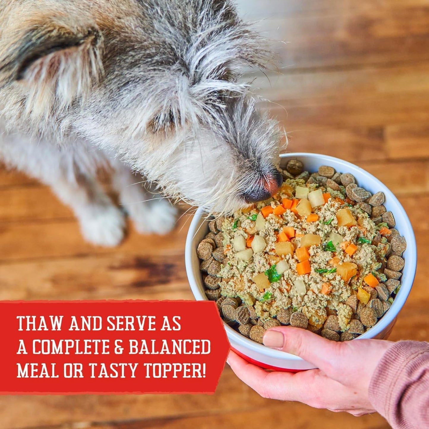Healthy bowl of frozen dog food with vegetables and chicken