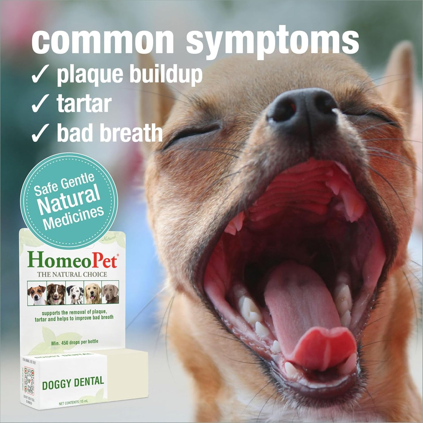 HomeoPet Doggy Dental bottle label details