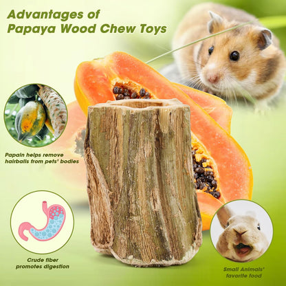 Healthy fiber rich papaya tree trunk sticks for chinchillas