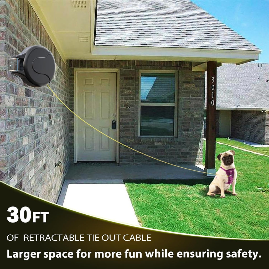 Close up of 360 degree tangle free swivel clip on dog cable