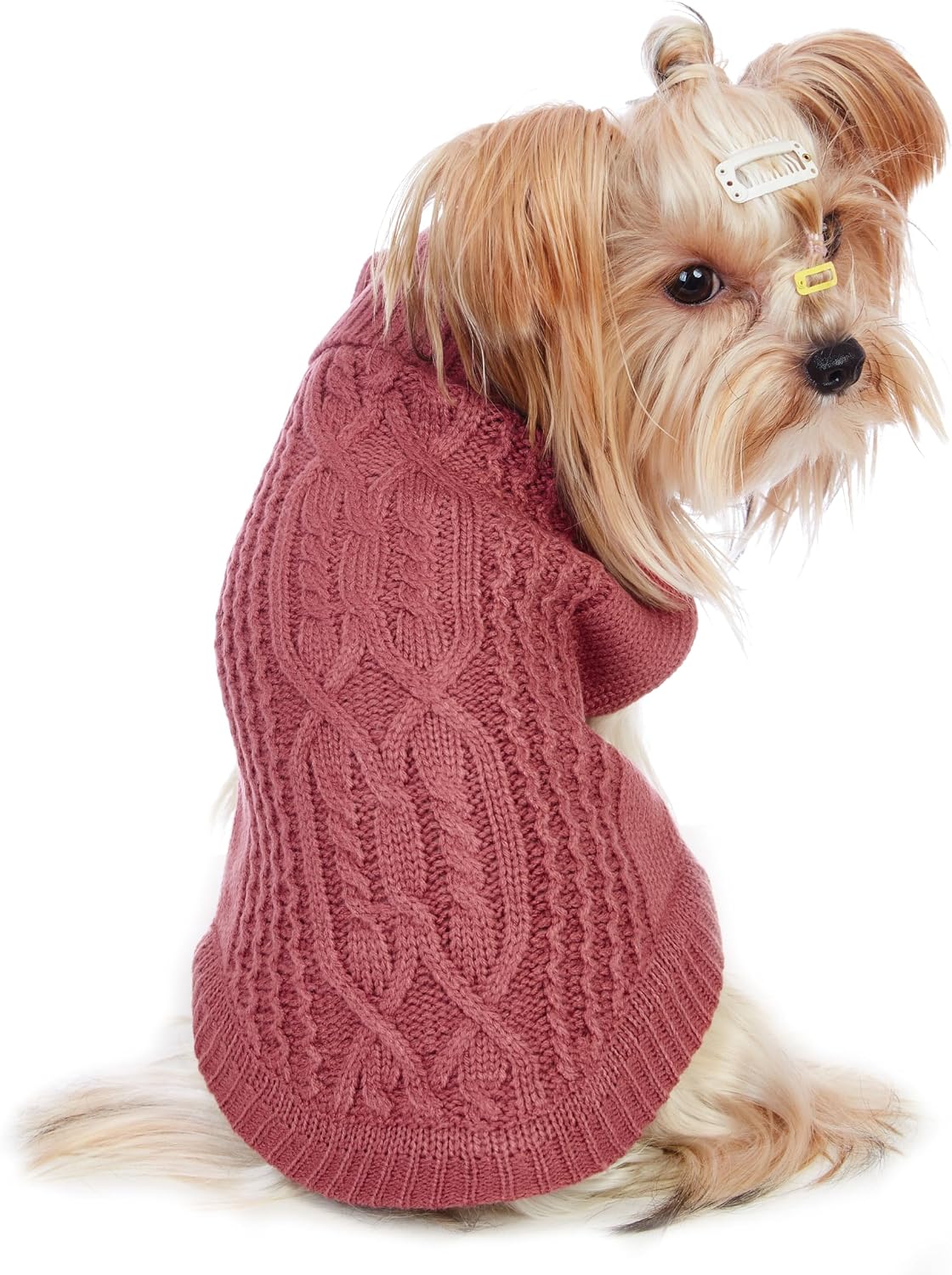 Side profile of a small domestic cat wearing the stylish sleeveless red holiday sweater
