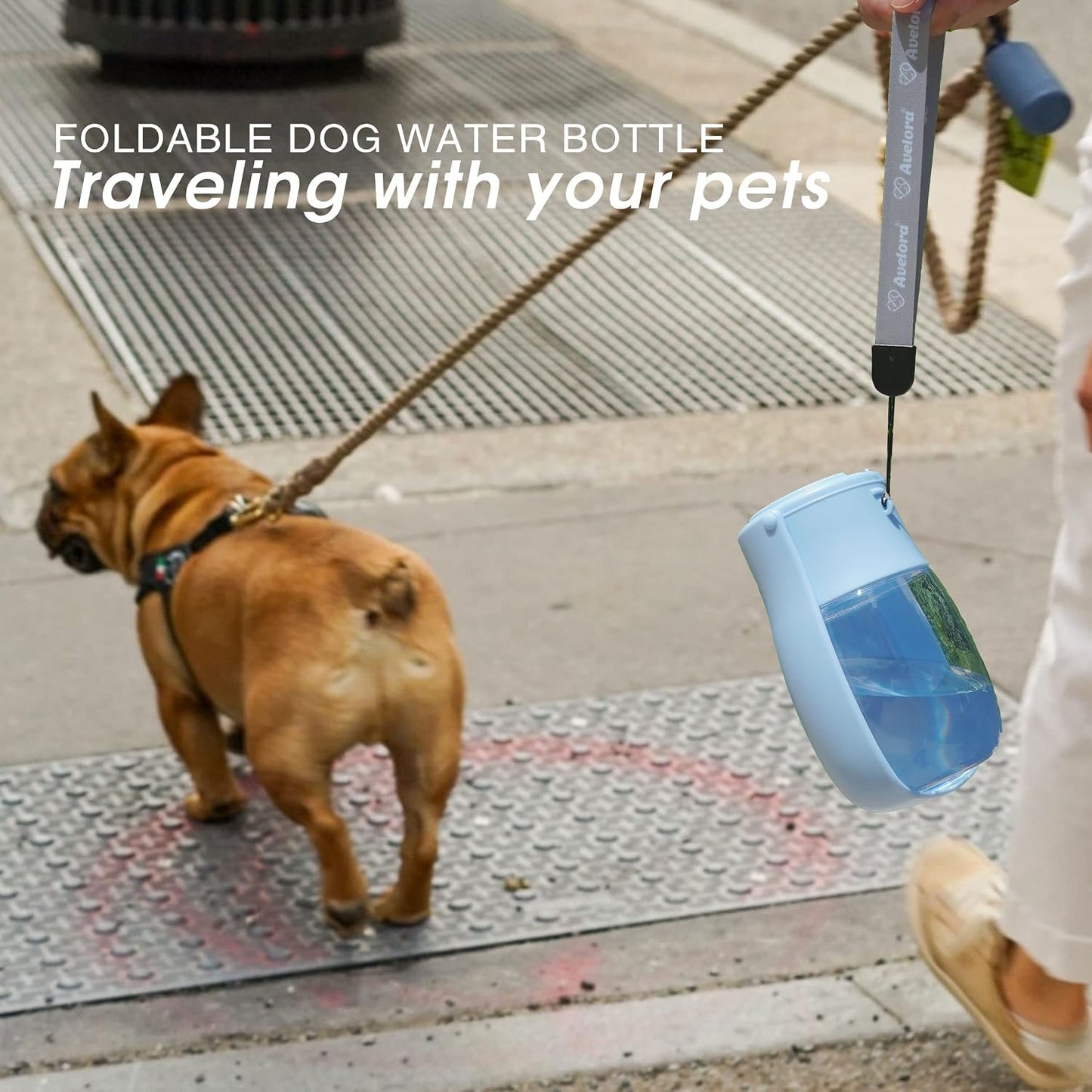 Avelora blue portable puppy bottle with attached top wrist strap