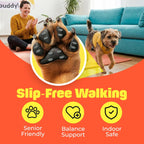 Close up of Hashi anti-slip traction pads for dogs
